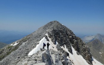 Bisaurín