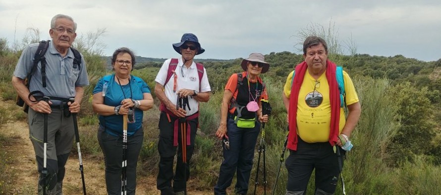 El antiguo camino de Costean a Cregenzán